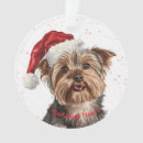 Suche nach yorkshire terrier ornamente Welpe