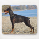 Suche nach pinscher mousepads Haustier