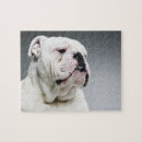 Suche nach weiße hunde puzzle Welpe