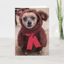Suche nach rettungs karten Hunde