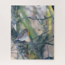 Suche nach rotkehlchen puzzle Natur