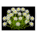 Suche nach edelweiss postkarten Bayern