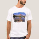 Suche nach medicine kleidung Landschaft
