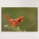 Suche nach landkreise puzzle Texas