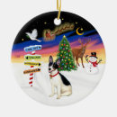 Suche nach rattenfänger ornamente Hund