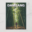 Suche nach bamboo postkarten Wald