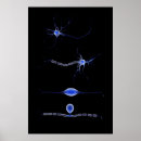 Suche nach neuron poster Wissenschaft