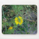 Suche nach heuschrecke mousepads Gras