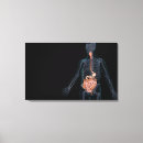 Suche nach transparent leinwandbilder Menschlich