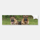 Suche nach deutscher schäferhund autoaufkleber Kaninchen