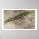 Suche nach topographische poster Kanada