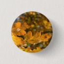 Suche nach herbst blätter buttons Saison
