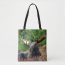 Suche nach elche taschen Tierwelt