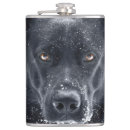 Suche nach schafe flachmänner Tiere