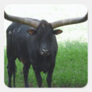 Suche nach longhorn aufkleber Stier