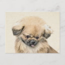 Suche nach pekingeser postkarten Welpe