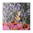 Suche nach schmetterling auf lila blumen fliesen Rosa