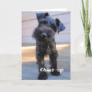 Suche nach lustige schnauzer karten Tier