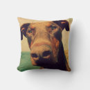 Suche nach funny dog kissen Lustig