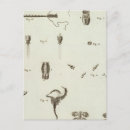 Suche nach nummerierte postkarten Zeichnungen