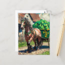 Suche nach schöne pferde postkarten Einzigartig