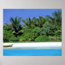 Suche nach maldives poster Palm tree