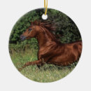 Suche nach gras ornamente Reiter