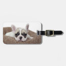 Suche nach französische bulldoggen gepäckanhänger Welpe