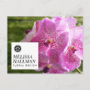 Suche nach orchid postkarten Blume