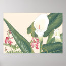 Suche nach weißer calla poster Lily