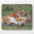 Suche nach bengalische tiger mousepads Natur