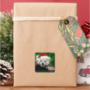 Suche nach roter panda aufkleber Weihnachten
