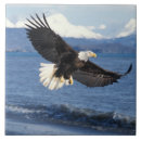 Suche nach profil fliesen Fauna