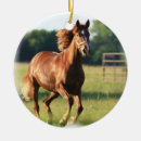 Suche nach kastanien ornamente Pferd