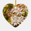 Suche nach biene ornamente Jede person