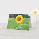 Suche nach biene fröhlich karten Sonnenblume