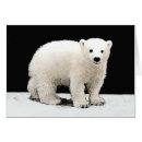 Suche nach eisbär kleine grußkarten Schnee
