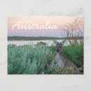 Suche nach liebe australien postkarten Känguru