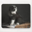 Suche nach studio mousepads Sitzen