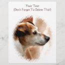 Suche nach dogs flyer Jede person