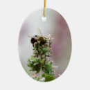 Suche nach hummeln ornamente Natur