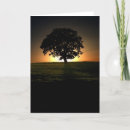 Suche nach einsamer baum karten Einzelbaum