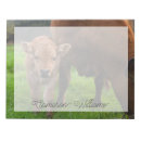 Suche nach rinde notizblock Kuh