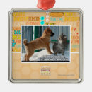 Suche nach geduld ornamente Ich kann habe cheezburger