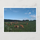 Suche nach galicia postkarten Spanien