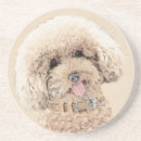 Suche nach niedlicher hund untersetzer Welpe