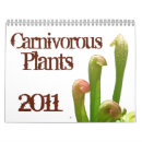 Suche nach pflanze kalender Blume