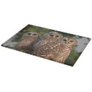 Suche nach eulen schneidebrettchen Vogel