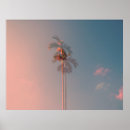 Suche nach kokosnüsse poster Palme