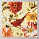 Suche nach roter vogel poster Blume